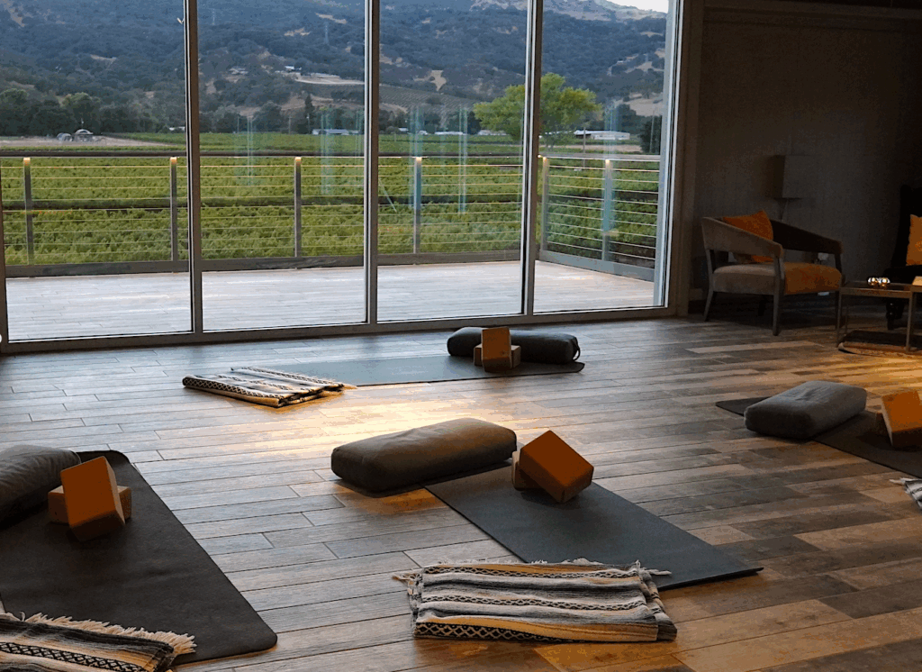 A serene yoga studio with mats, bolsters, blocks, and blankets on a wooden floor, large windows showcasing a scenic view of green fields and distant mountains.